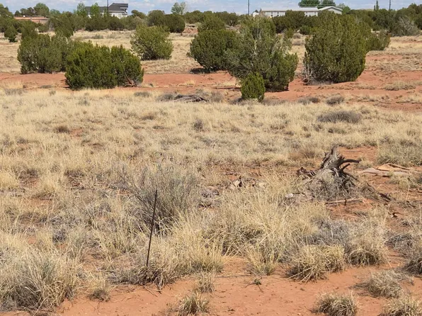 4.02 N Dewitt St, Snowflake, AZ 85937