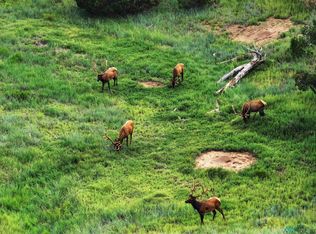 0 Cr53a, Las Vegas, NM 87701