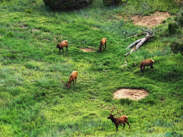 0 Cr53a, Las Vegas, NM 87701