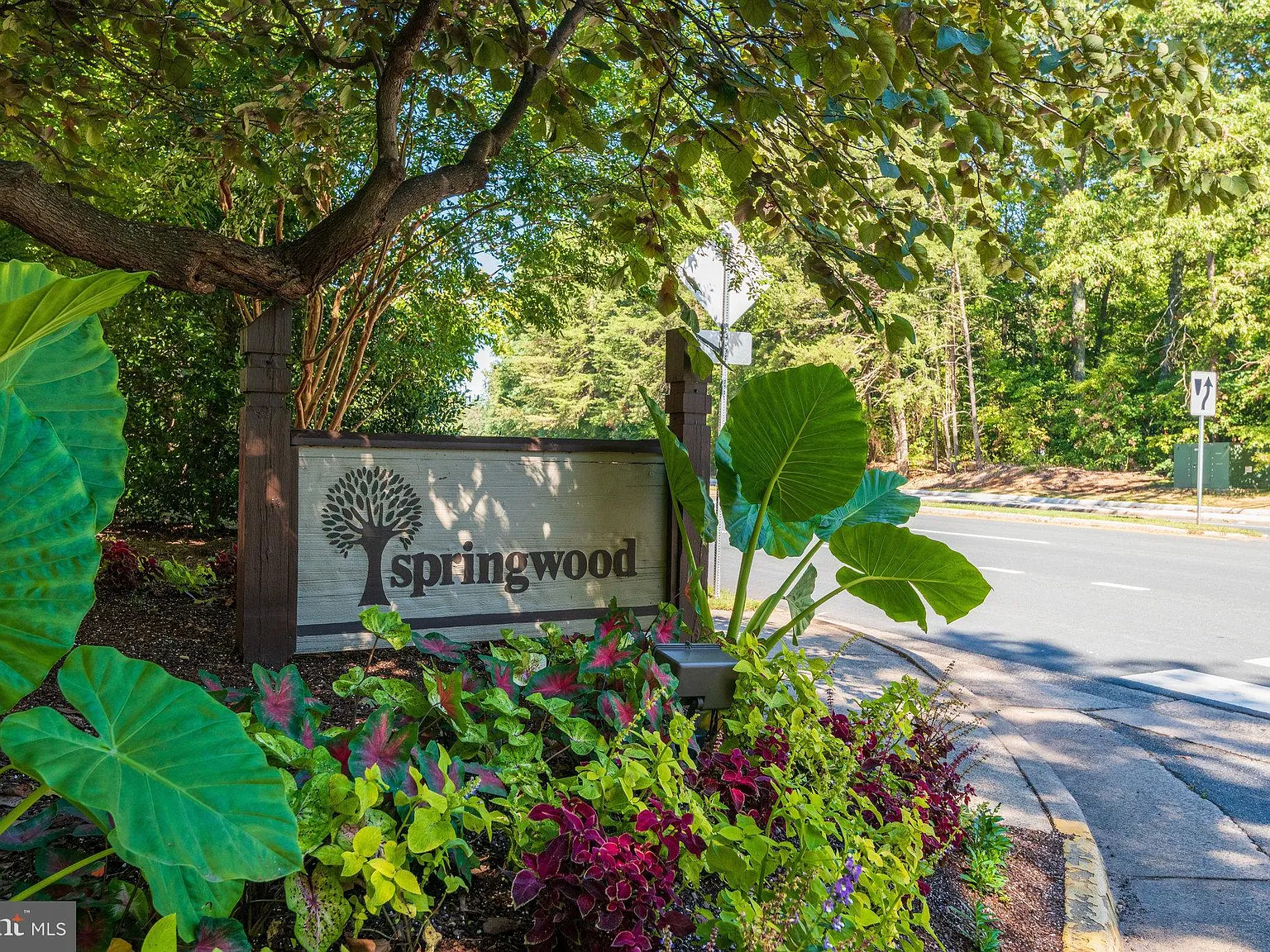 Springwood Condo — Photo 2