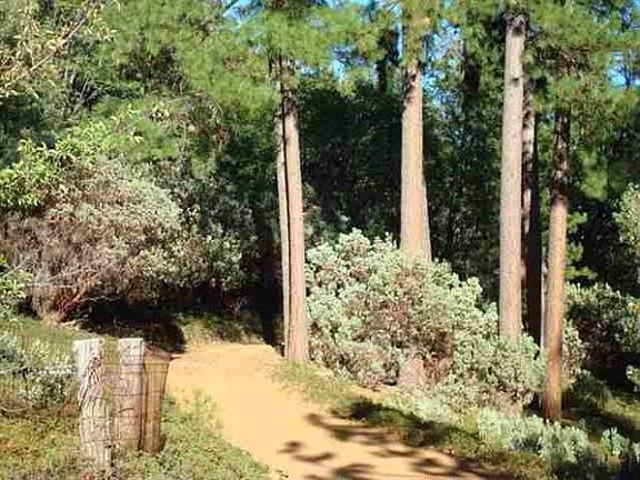 5th image of 24550 Robin Hood Dr