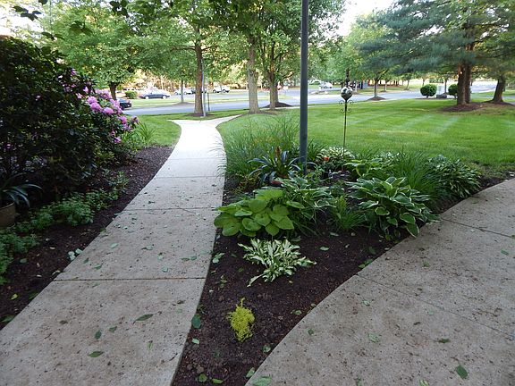 Path to Street or Parking