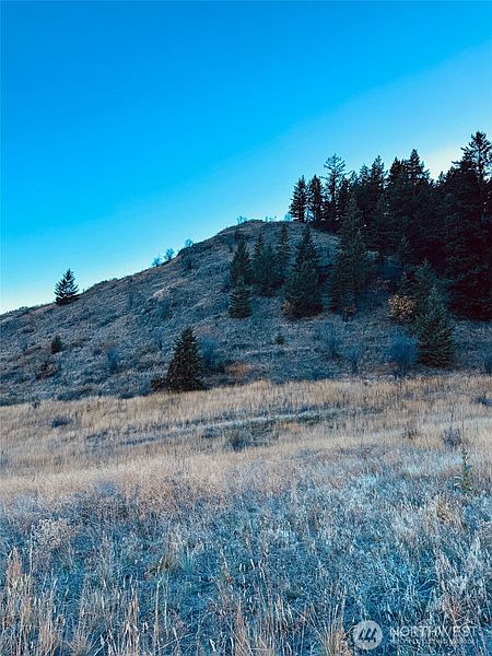 3rd image of 11 Gafvery Creek Road
