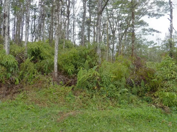 Lanai Rd Lot 372, Pahoa, HI 96778