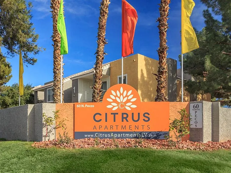 Citrus Apartments — Photo 44