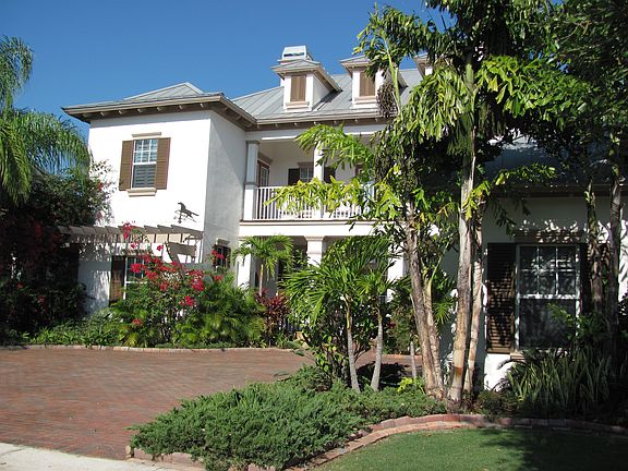 Bouganvilla in Bloom