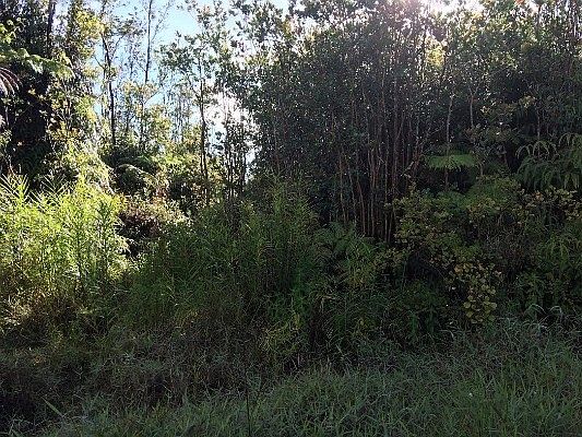 1st image of 11-2970 Ala Kapena Lot 3