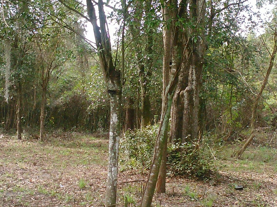 2nd image of Restlawn Dr