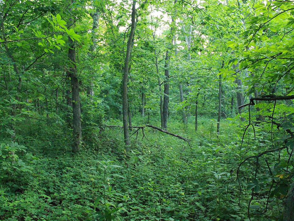 2nd image of 1481 Highway 69