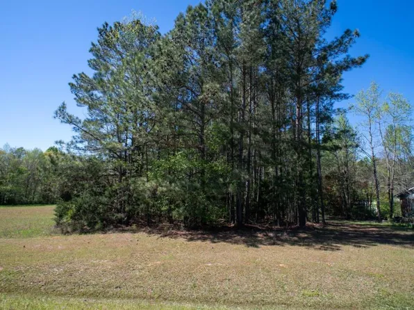 0 Elberton Rd, Carlton, GA 30627