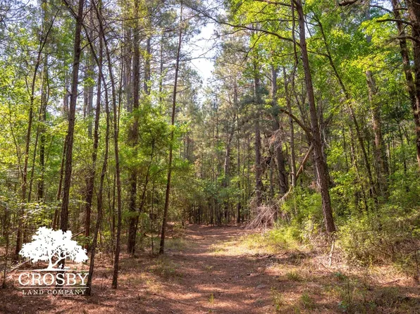 762 Salcro Ln, Smoaks, SC 29481