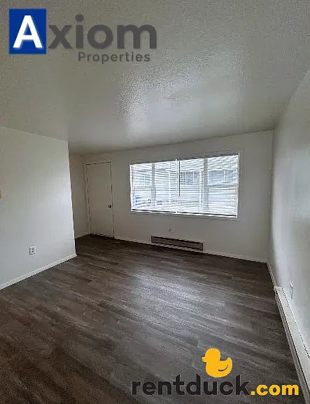 Poole 547 — Photo 8