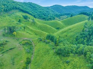 908 Hurd Hollow Rd, Blackwater, VA 24221