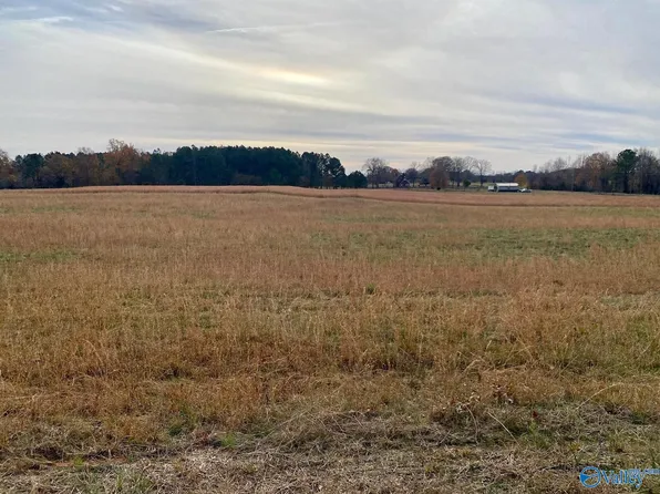 10 Vivians Rd, Anderson, AL 35610