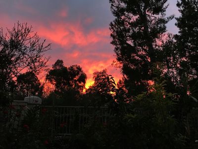 24286 Louisa St, Laguna Hills, CA, 92656