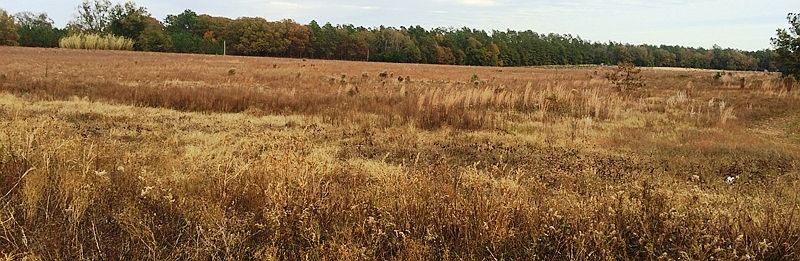 sc land for sale, farmland for sale sc