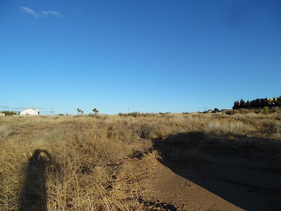 2nd image of Cactus Dr