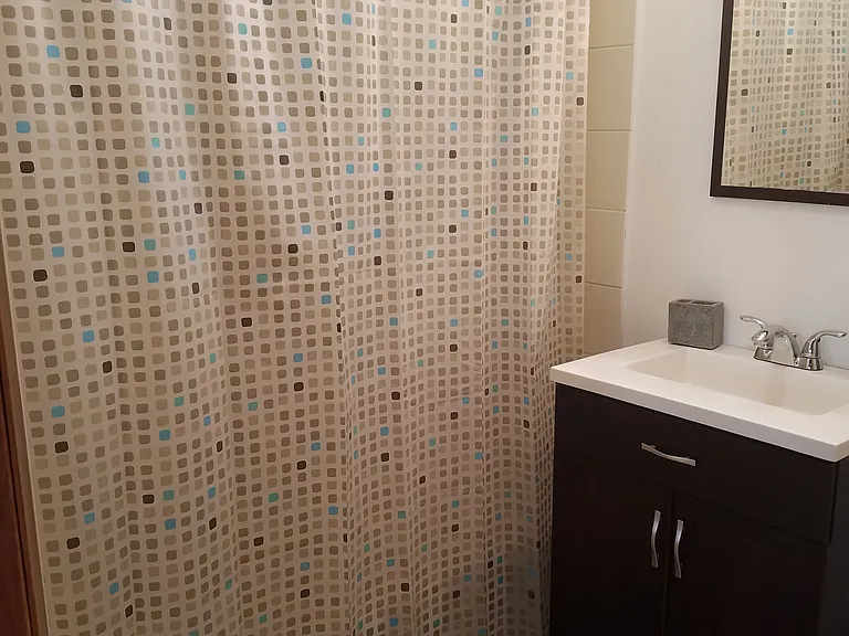 1708 S Carpenter St #2R — Photo 7