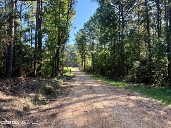 Dogwood Ln SE, Smithdale, MS 39664
