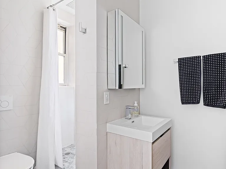 240 W 98th St #8D — Photo 10