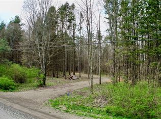 7419 Irish Hill Rd #3, Ellicottville, NY 14731