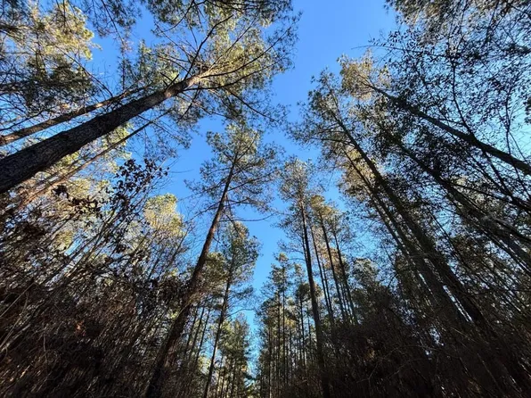 0 Highway 482, Philadelphia, MS 39350