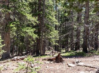 176 Gold Trail Circle, Fairplay, CO 80440