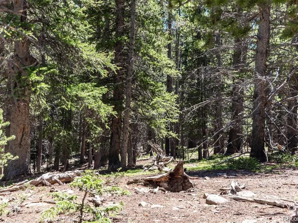 176 Gold Trail Circle, Fairplay, CO 80440