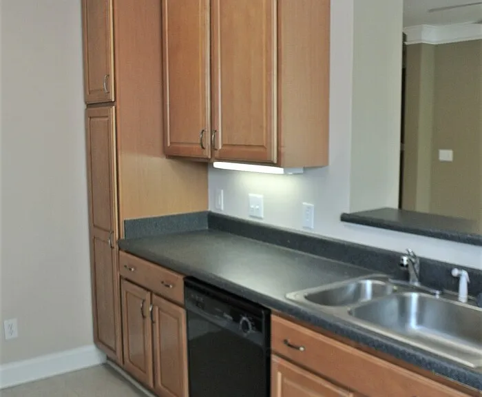 1621 Providence Glen Dr — Photo 3