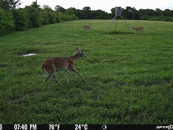 5th image of 2240 Meyer Rd