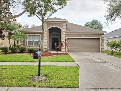 10493 Lucaya Dr, Tampa, FL, 33647