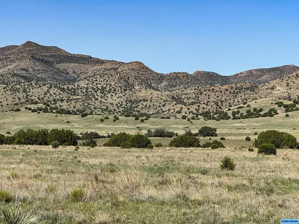 Wilson Rd, Mimbres, NM 88049