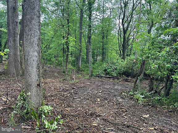 5th image of 0 Oak Ln