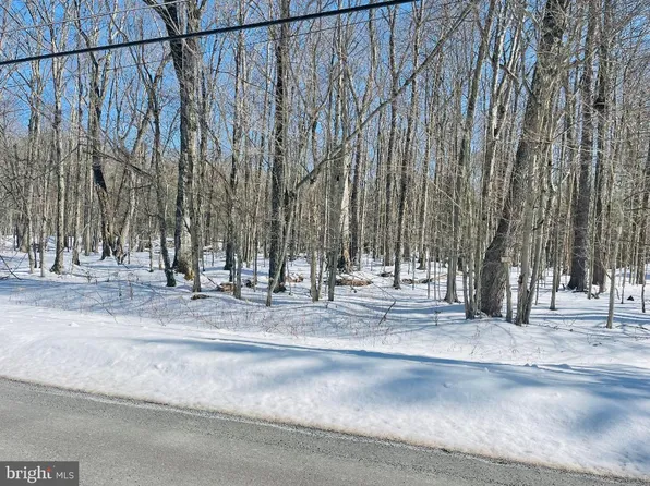 C476 W Creek View Dr, Gouldsboro, PA 18424