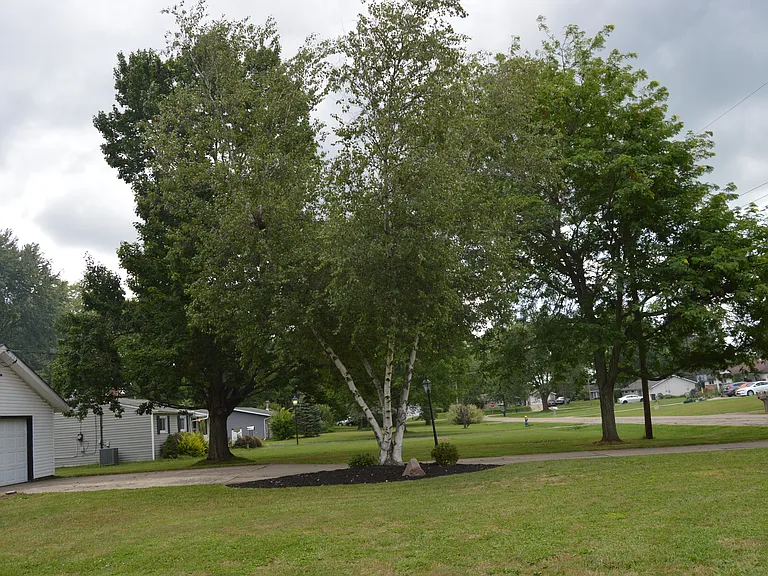 2135 Gates Ave — Photo 12