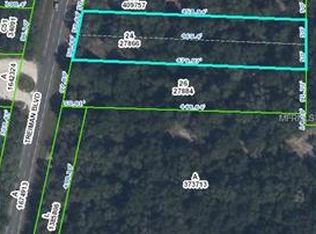 Treiman Blvd #89, Webster, FL 33597