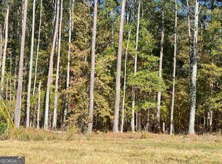 0 Frog Rd, Locust Grove, GA 30248