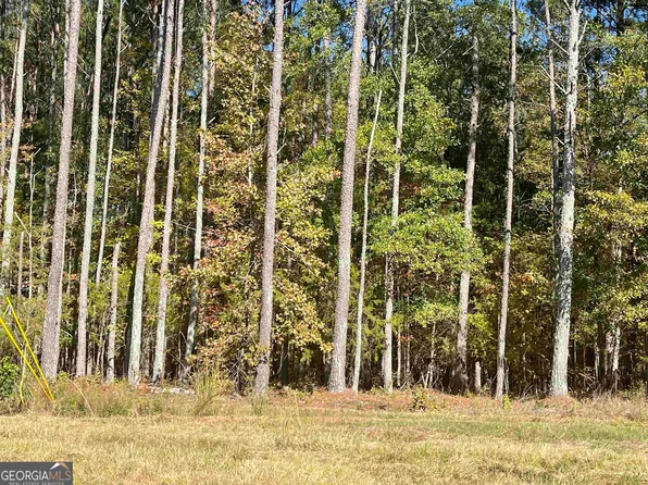 0 Frog Rd, Locust Grove, GA 30248