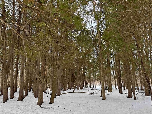 4th image of 0 Hardscrabble Rd