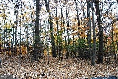 2nd image of 2005 Ridge Rd