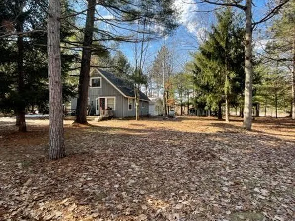 1425 S Walhalla Rd, Branch, MI 49402