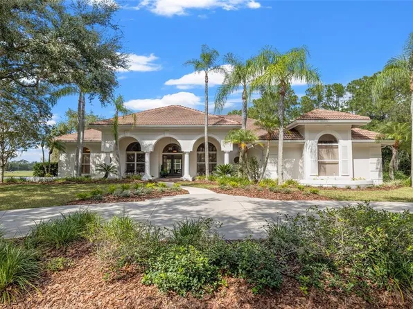 8942 Magnolia Chase Cir, Tampa, FL 33647