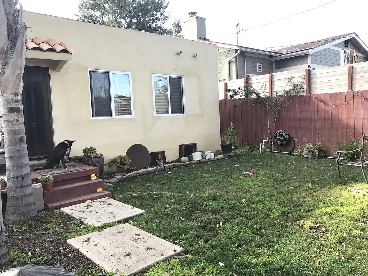 grassy yard - 2440 Vancouver Ave