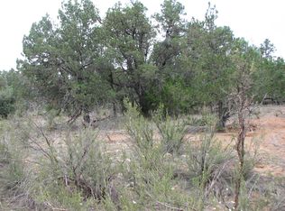 2178 Rim View Ln, Overgaard, AZ 85933