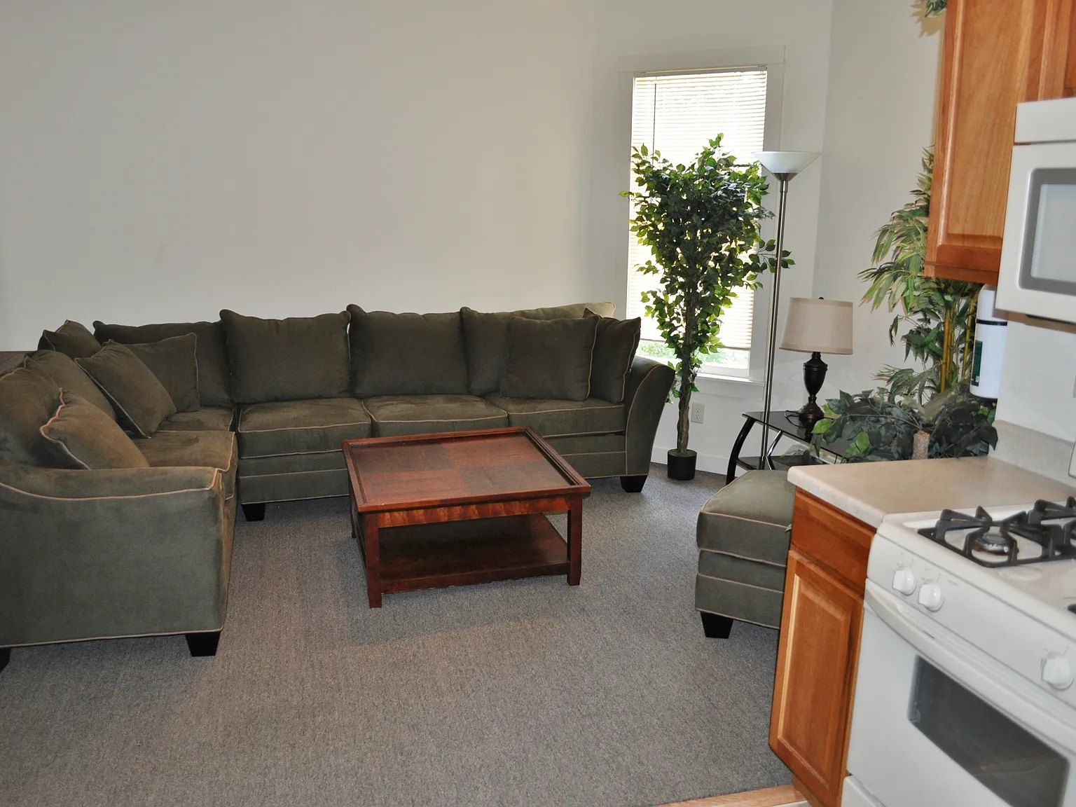 103 Highland Pl — Photo 4