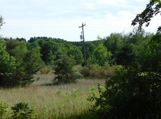 0 Potter Rd, Bear Lake, MI 49614