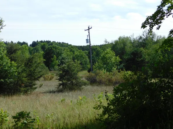 0 Potter Rd, Bear Lake, MI 49614
