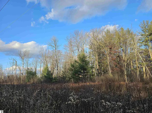 Whittemore Rd, National City, MI 48748