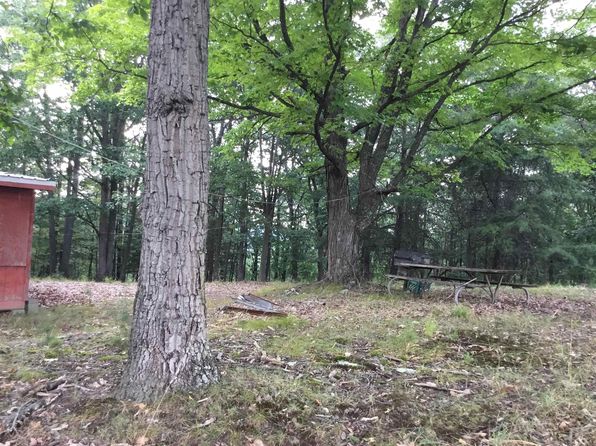 1703 White Oak Dr, Upper Tract, WV 26866