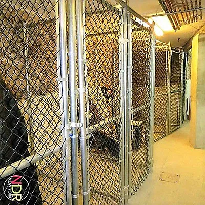 Rented by Next Door Realty NYC | media 5